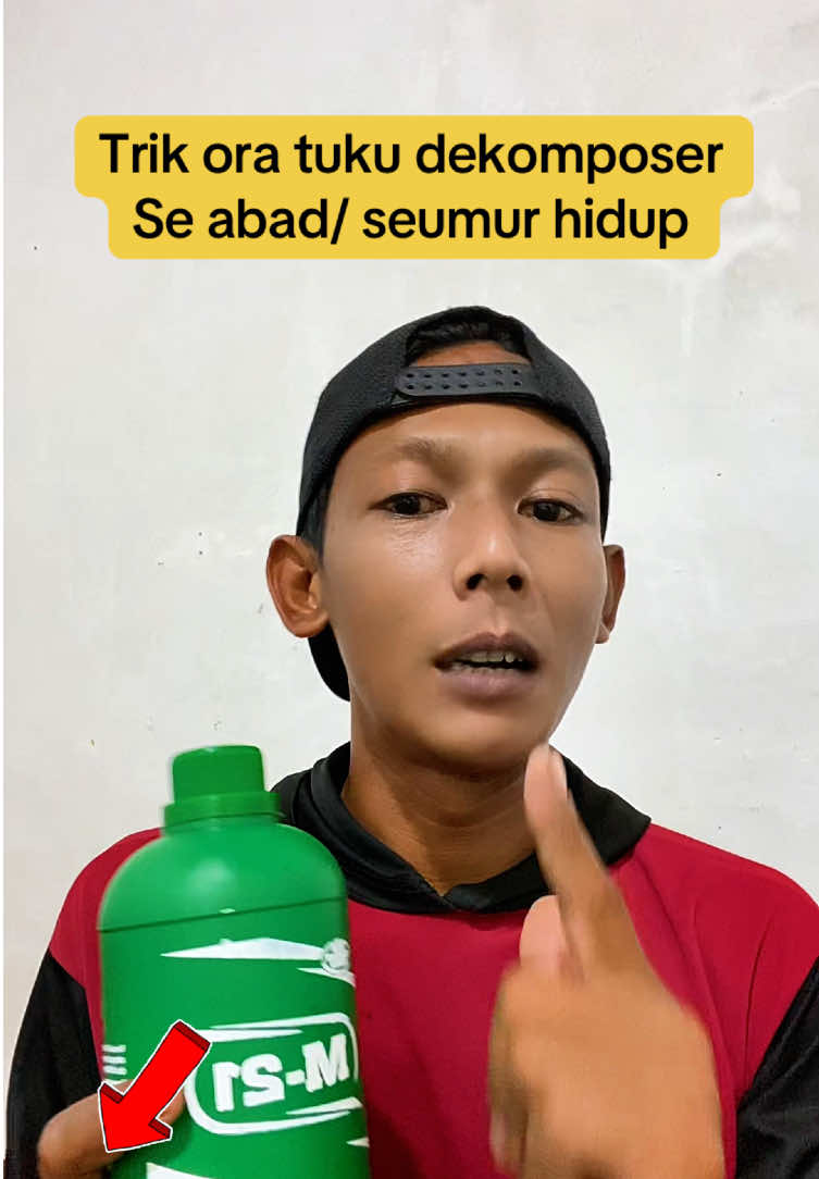 Cara mempercepat pembusukan jerami degan m21 dekomposer