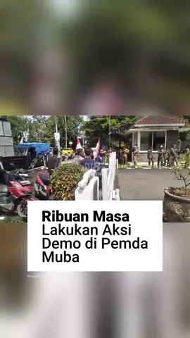 Ngacir, alangkhe bayak masa lur 😱 #pesonamuba #demo #sekayu 