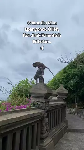 #Bismillahfyp #fypシ゚viraltiktok #vidioviraltiktok_fyp_tiktok🌺 #KatakataMadureViral #sumenepkotakeris💃💃😘 