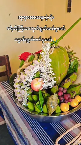 ပြုရသောကုသိုလ်ကြောင့် အမျိုးသားလေးကျန်းမာဘေးကင်းအစစအရာရာကျော်ဖြတ်နိုင်ပါစေ🙏🙏🙏#tiktokmyanmar #fyppppppppppppppppppppppp #မြင်ပါများပီးချစ်ကျွမ်းဝင်အောင်လို့🤒🖤 #🥰🥰🥰 