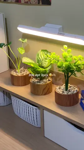#foryou #tanamanartificial 