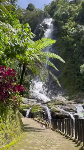 Curug Sikarim ,air terjun yang terletak di dataran tinggi Dieng, Jawa Tengah. Keindahan alamnya yang spektakuler dan udara yang sejuk membuat Curug Sikarim menjadi salah satu destinasi wisata favorit di Dieng. #dieng #curugsikarim #fotograferdieng #wisatadieng #tripdieng 