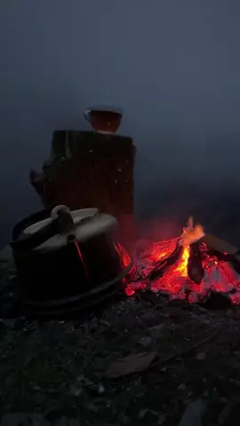 Şeir Dedim Qəzəl Dedim Gəlmədin...✍️#daglar #naxcivan #nmr #fypage #kesfet 