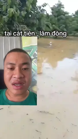 Cứu cây sau ngập úng nước #xuhuong #nôngnghiệp #tiktok #nôngnghiệp 