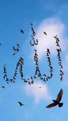 👆 #allah❤️ #foruyou #tranding 