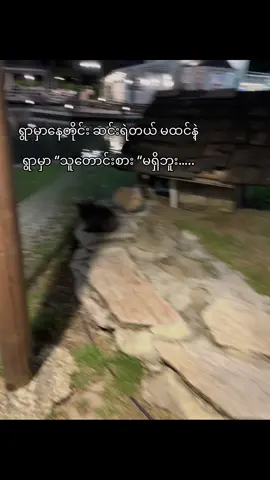 ရွာမှာ တောသားဘဲရှိတယ် ….😂 စတာစတာ #fpyシ #viralvideo #fpy 