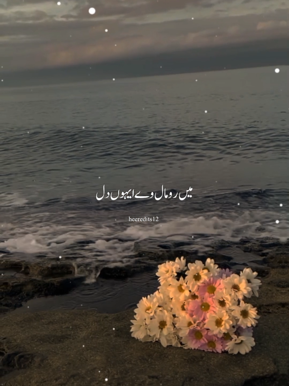 was way dhola😍❤️🥰🌹😘 #punjabisong #lovesong #song #status#heeredits12 