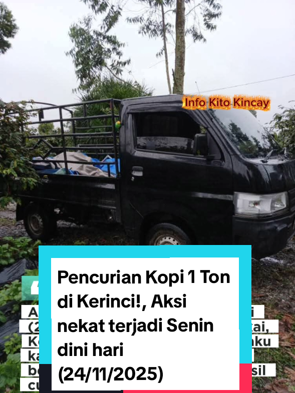 🚨 Pencurian Kopi 1 Ton di Kerinci! ☕🚔 Aksi nekat terjadi Senin dini hari (24/11/2025) di Desa Sungai Sikai, Gunung Tujuh. Pelaku kabur dan meninggalkan mobil berisi 1 ton kopi yang diduga hasil curian! Mobil penuh karung kopi itu kini jadi barang bukti. Warga dan aparat gerak cepat membongkar misteri pencurian besar ini. 👀 💬 Kopi bukan sekadar biji, tapi sumber hidup petani. Jangan ambil yang bukan hakmu! #Kerinci #GunungTujuh #PencurianKopi #KopiKerinci #BreakingNews 
