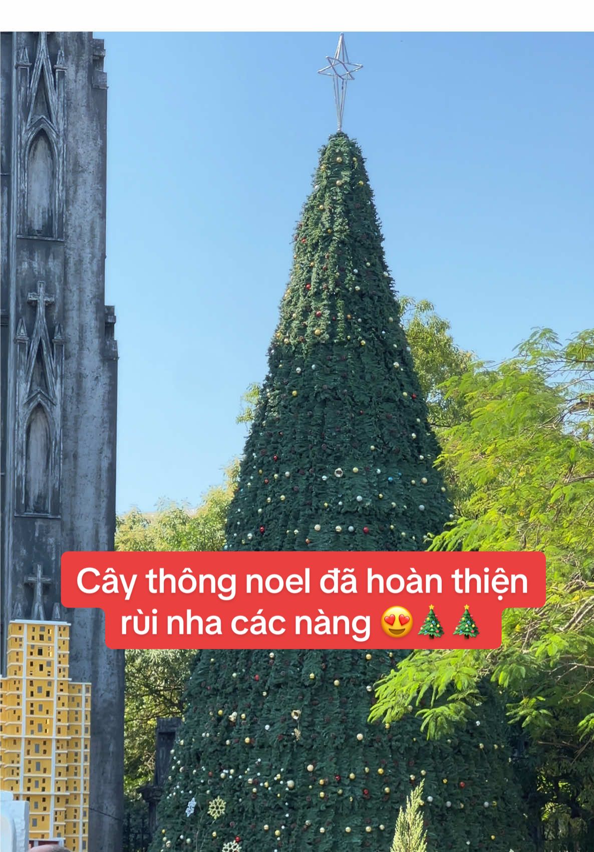 Cây thông noel ở nàh thờ siu to khổng lồ các cháu ơi. 🎄🎄#chụpanhdephanoi #chụpphotophone #xuhuong #viral #noel 