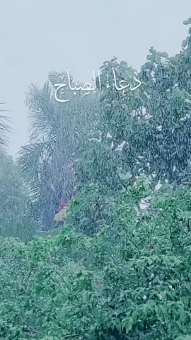 #في هذا اليوم 