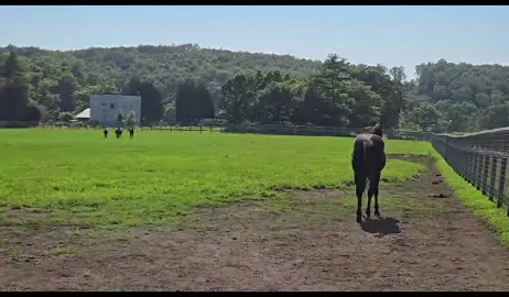 Fenomeno con sus alumnos. uno de ellos parece que le hubieras intenta dar un beso a mame-chin y los demás al darse cuenta también se acercarían v: