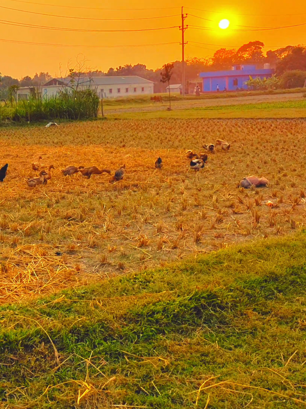 ~আল্লাহ বলেন...!!☝️🫀 #আনিসুর_রহমান_আশরাফী💖💖 #ইসলামিক_ভিডিও_🤲🕋🤲 #ভাইরাল_করে_দাও #ইসলামের_পথে_এসো😍 #আল্লাহ্_সর্বশক্তিমান 