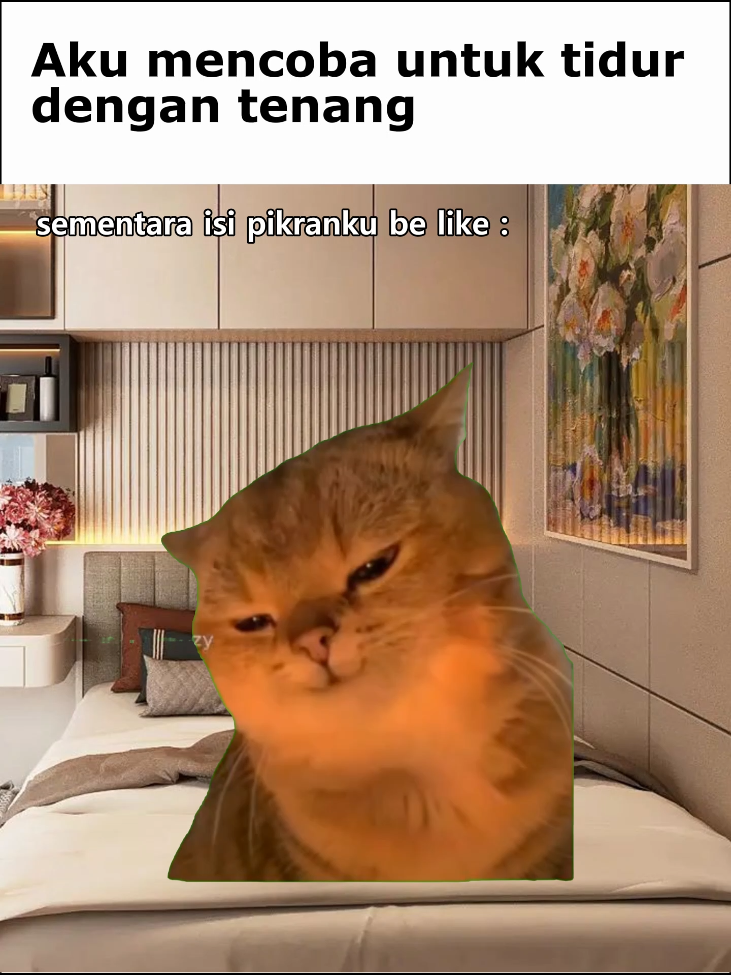 #pov #memekucinglucu #yapapa