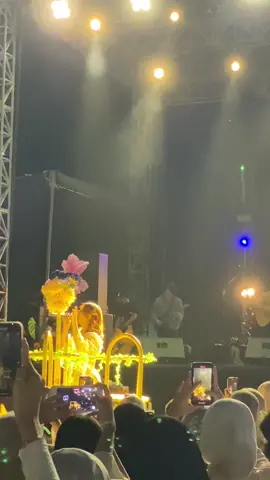 ibu peri 🧚🏻 #fyp #konser #lampung #nadinamizah 