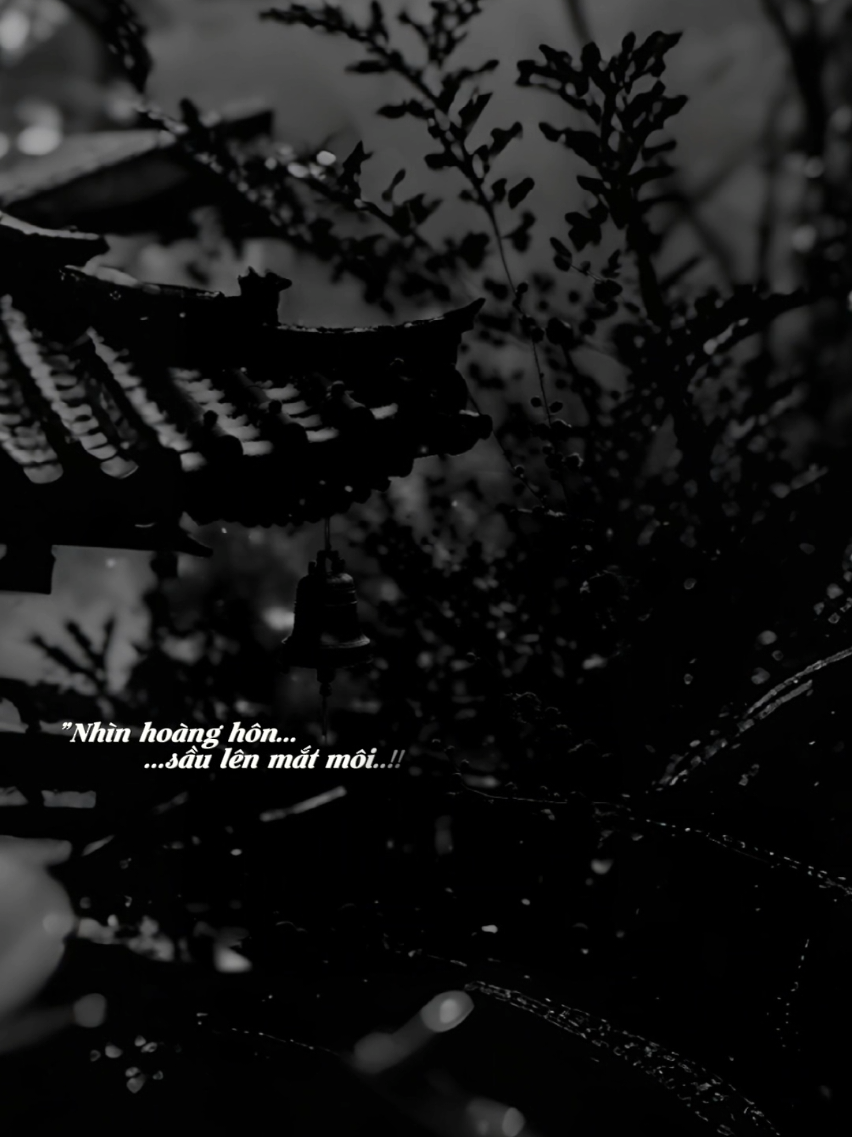 Gió thu về mưa lạnh lùng đường chiều..  #nhachaymoingay #sbtentertainment #huyenthanh04🌈 #CapCut 