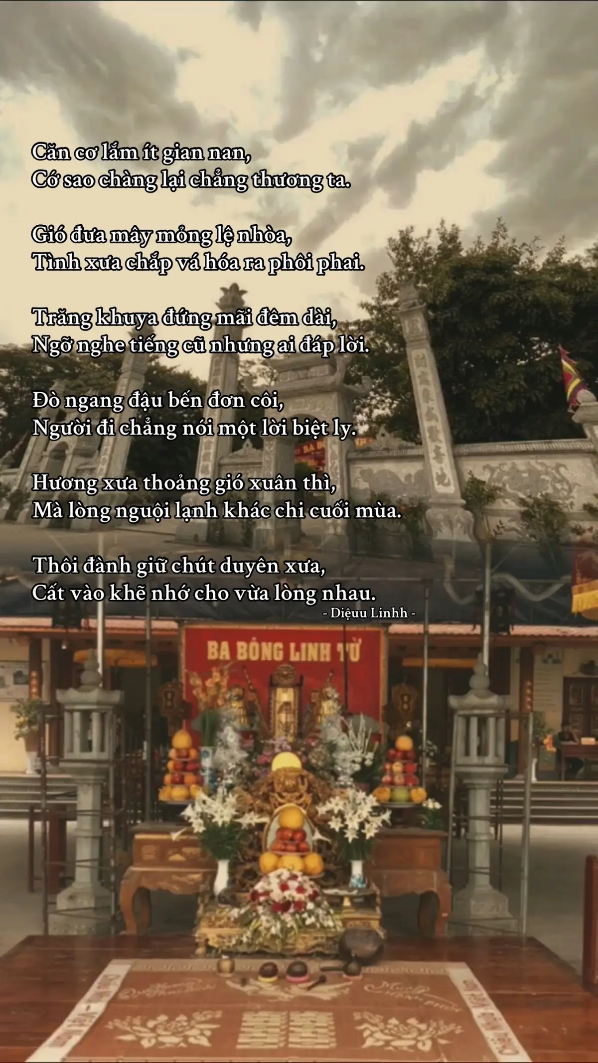 #tinnguongthomauvietnam #daomauvietnam #candongsolinh #canso #xh 