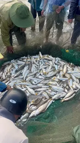 Ae sầm Sơn nay chúng mánh r  ae ơi #x #xuhuong #uocduoclenxuhuong 