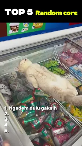 Top 5 Random core #kucinglucu #rebahan #lucu_ngakak #beban #top5 #reaction #fyppppppppppppppppppppppp #fypシ 