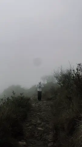 Lawu dengan kemistisannya #lawumountain #lawu3265mdpl #lawuviacemorosewu #fyp #moots? Ib : @GOTREX-❤️‍🔥- 