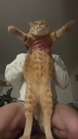 Told him he needed a diet#fyp#viral#ginger#fyppppppppppppppppppppppp 