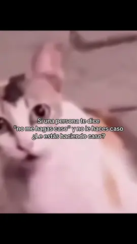 #tiktokviral #humor #fyppppppppppppppppppppppp 