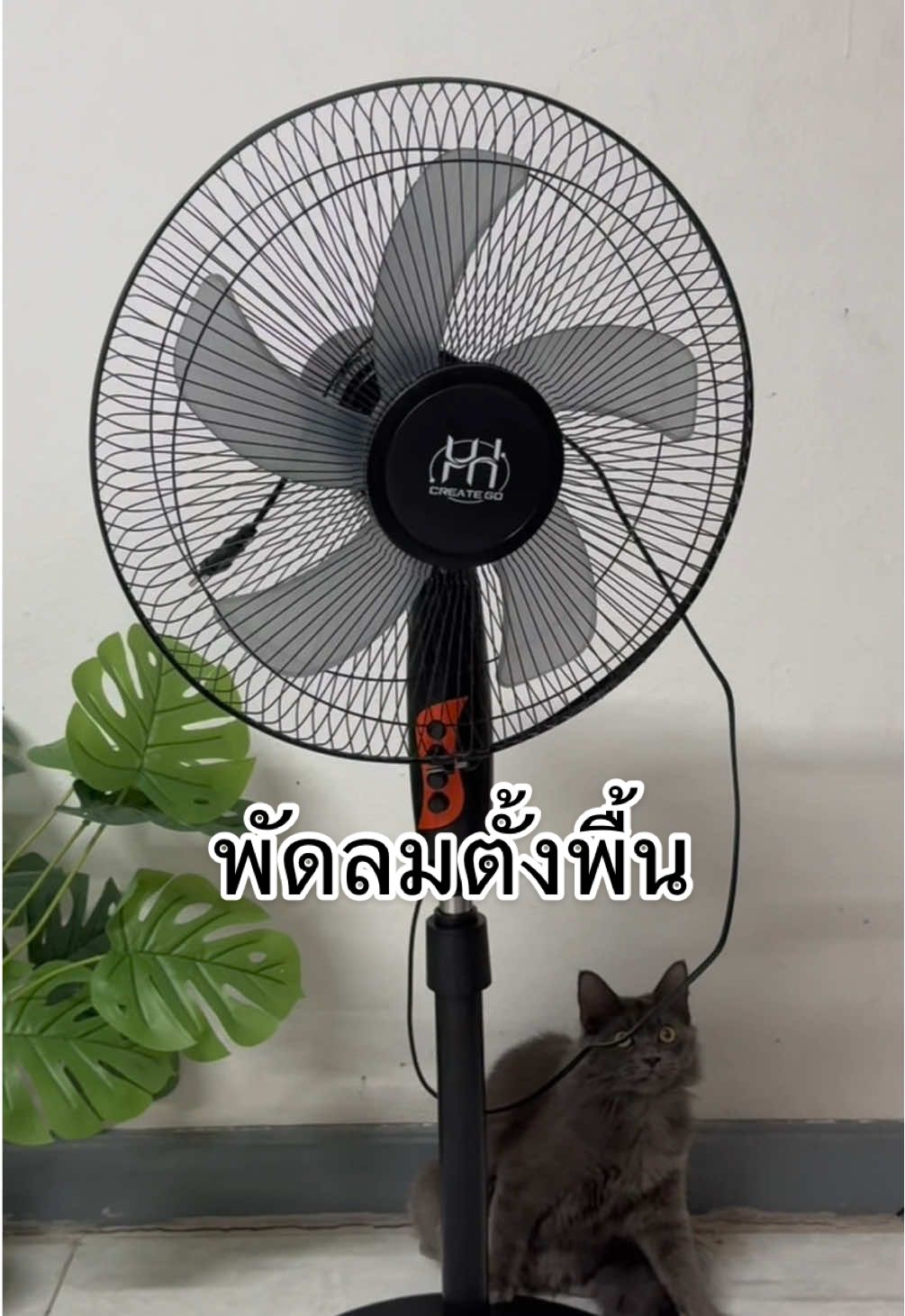 รีบกดก่อนราคาจะหมดโปรนะคะ🤍✨#พัดลมตั้งพื้น #พัดลมตั้งพื้น16นิ้ว #พัดลมตั้งพื้นปรับได้3ระดับ✅ #พัดลมตั้งพื้น5ใบพัดปรับระดับได้ #พัดลมตั้งพื้นเสียงเงียบ 