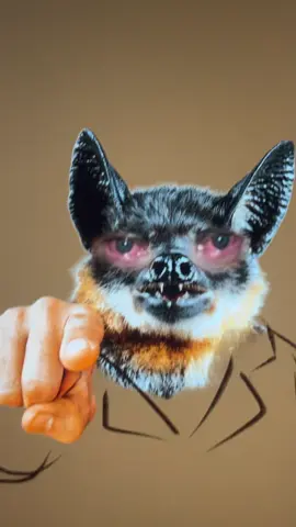 Brother probably thinks ketchup is spicy 😭🙏🏽 #dispatch #fyp #foryoupage #silly #dispatchgame 