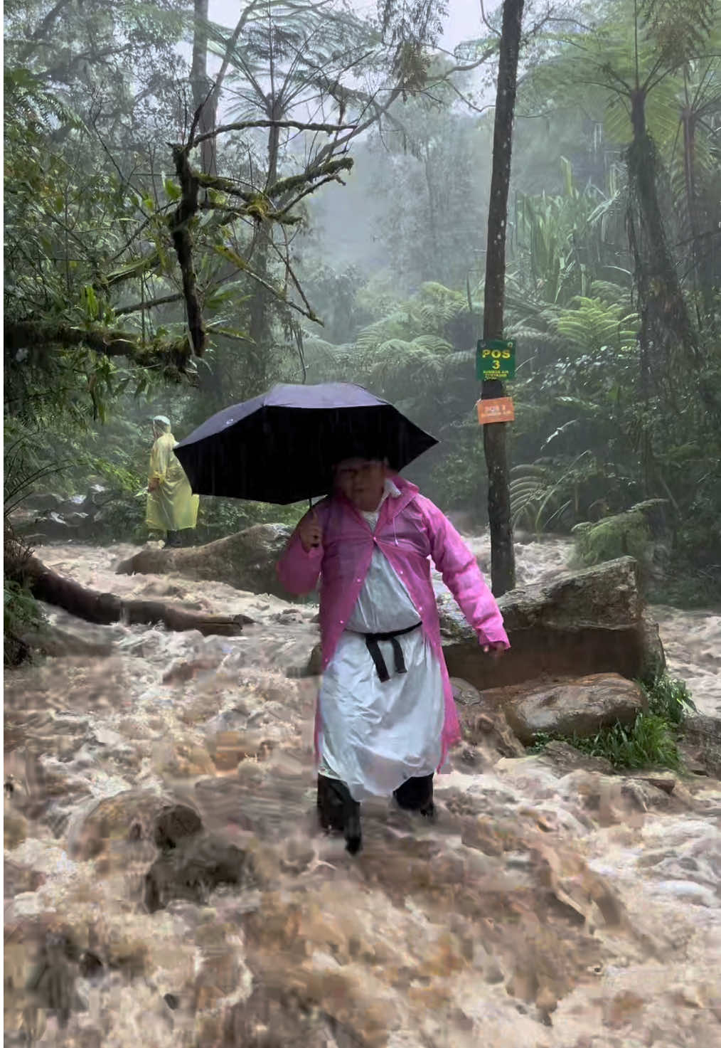 Ini alasan Kenapa kalau ke kawah ratu via pasir reungit tidak di sarankan untuk sendiri, Jam trekkingnya di batasi, dan  persiapan yang matang, Stay Safe teman teman semua ✨ #kawahratu #kawahratubogor #kawahratugunungsalak #opentripkawahratu #langkahalamadventure 