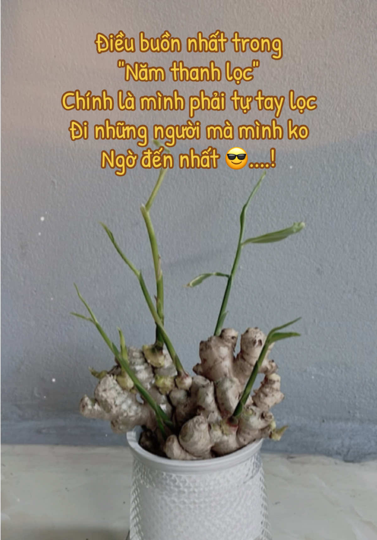 Chắc là thế 🤣🤣#đời 