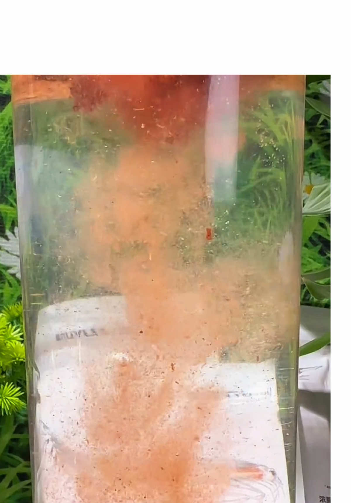 Bột tôm khó chịu siêu bén 60G #xuhuong #vietdocau #cauca #fishing 