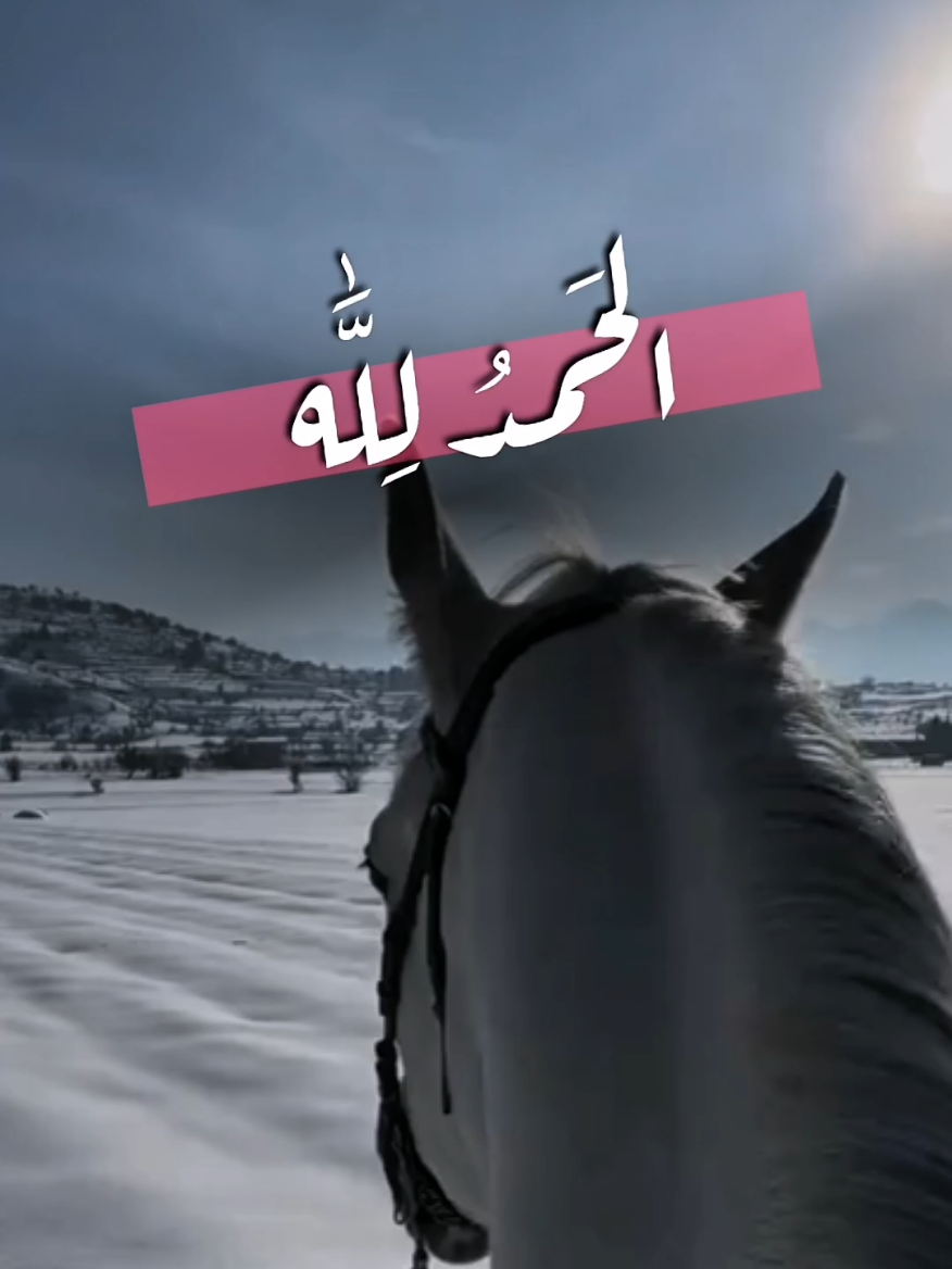 قالب استخدم صورة  الحمد لله بلا سبب  #تصميم_فيديوهات🎶🎤🎬 #اناشيد_بدون_موسيقى #تيك_توك #foryou 