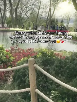 - নিজেকে ভালো রাখতে হলে ইগনোর করা'টাও শিখতে হয়, সবসময় তর্কে না গিয়ে চুপ করে থাকাটাও জানতে ইয়!😊❤️‍🩹🩹#_humaira_567 #foryou #foryoupage #unfrezzmyaccount 