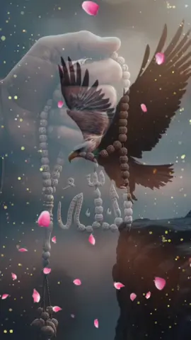 يقول الله عز وجل #viral #الله #tiktok 