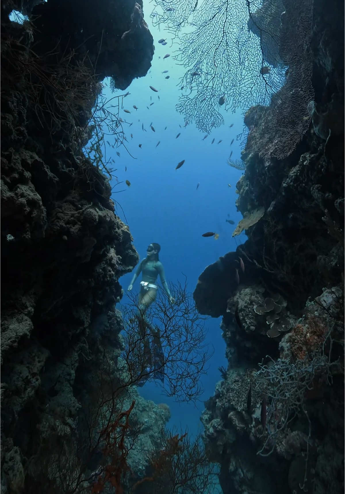 berapa detik kalian tahan nafas ? #freedive #menjanganisland #bali #freediving