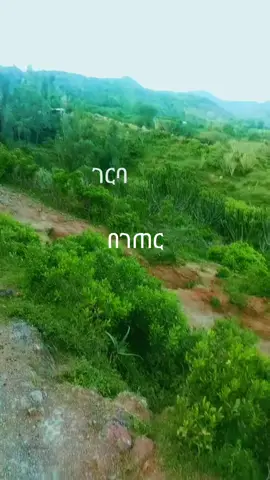 #ገርባዬ #ኮፒ_ሊንኩን_እየተጫናቹሁ🙏 