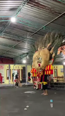 nderek belajar 🙏😁  #reogponorogo #solahdadakmerak #dadakmerak #reyogponorogo #singoyogobanyuanyar 