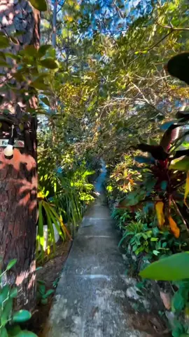 RESERVA NATURAL ENTRE PINOS EL PROGRESO JUTIAPA GUATEMALA  #reserva #pinos #elprogresojutiapa  #guatemala 