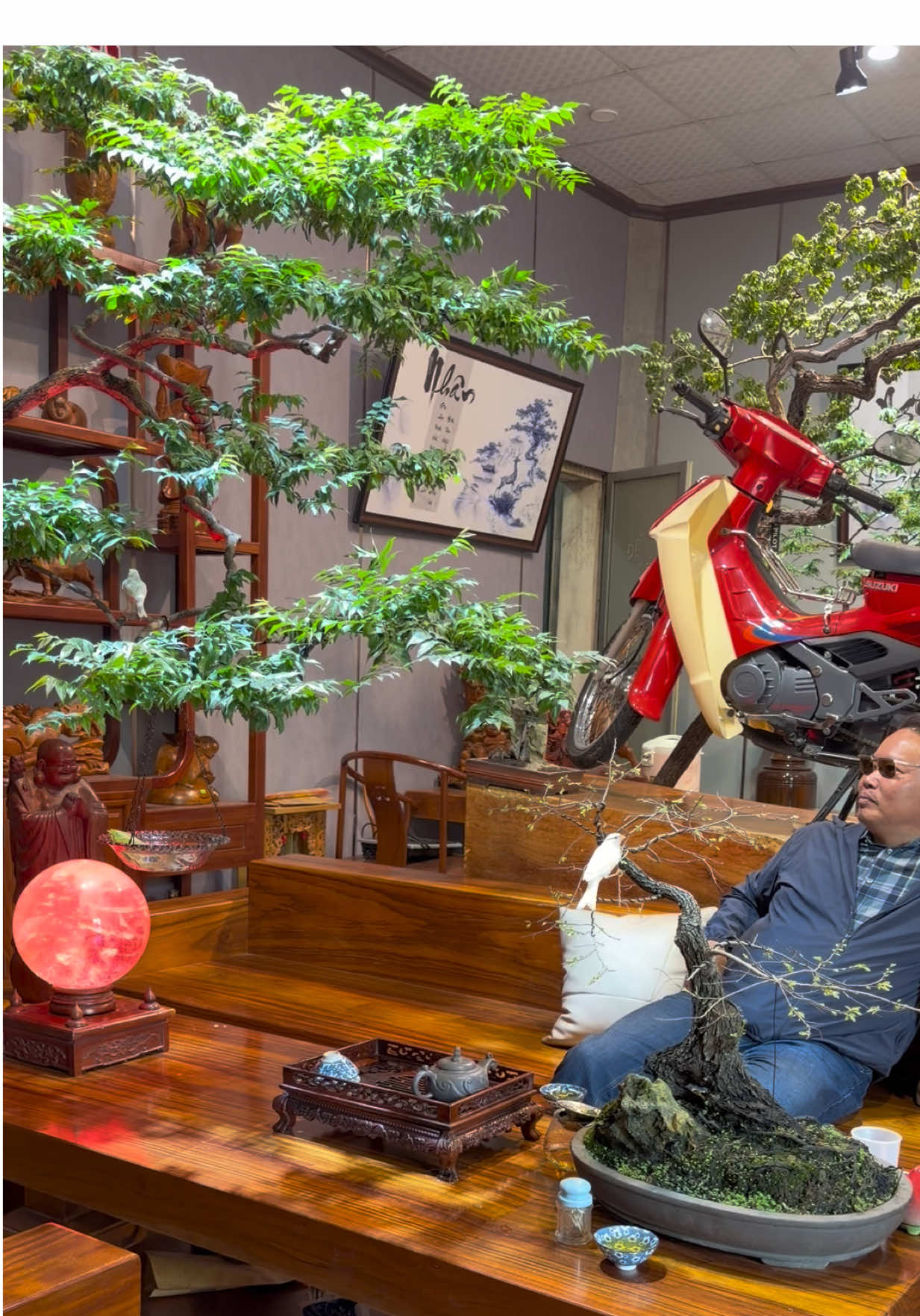 Muội Hồng , bạch yến mê say Lòng người 😅😅😅