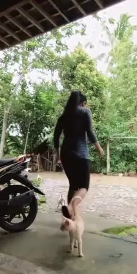 #tiktoklive #livehighlights

