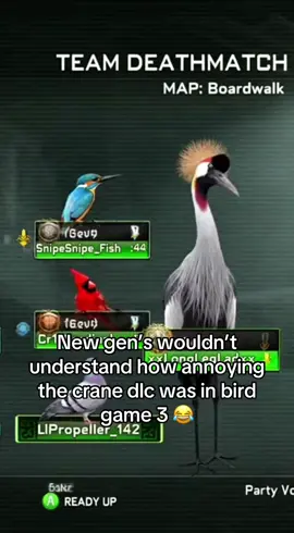 Sm better than parakeet and hummingbird imo #birdgame #sora #viral #fyp 