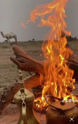 قصايد #شيلات #خواطر #شعر 