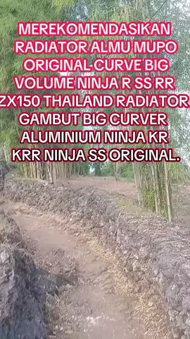 RADIATOR ALMU MUPO ORIGINAL CURVE BIG VOLUME NINJA R SS RR ZX150 THAILAND RADIATOR GAMBUT BIG CURVER ALUMINIUM NINJA KR KRR NINJA SS ORIGINAL  #tiktok #trending #trend #fyp #radiator 