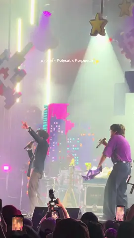 ได้มีพลังรู้ความในใจ 🤗  #polycat #purpeech 🌻✨