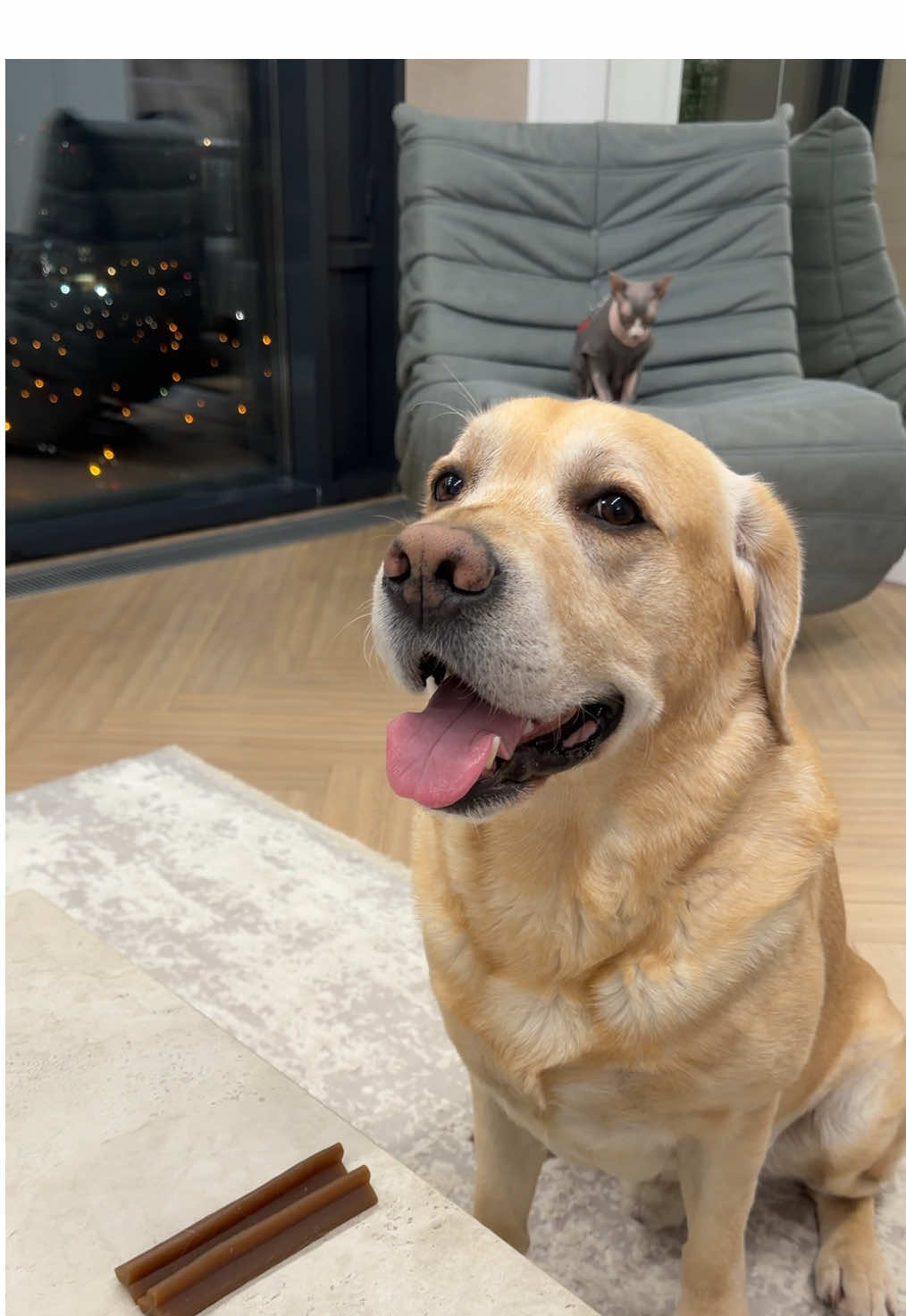 Хитро сработал😁