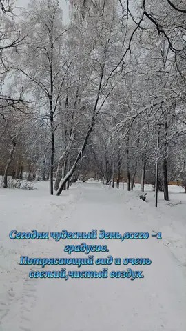 #зима закружила