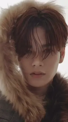 น้องแมวขนเฟอร์ 🐈🐈‍⬛✨✨ #Mensfolioth #Mensfoliothailand  #markjrtn