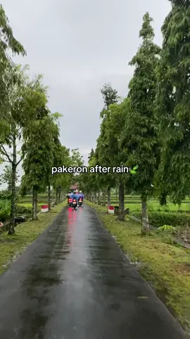 jan syahdu tenan🤩#magelang24jam #pakeronsumberarum 