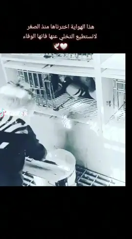 معشوقي 🤍🪽🕊️  هوايتي الجميله 🪽🕊️🤍#زواجل_العراق #زاجل_سباق❤ #زواجل_بغداد #سباقات_الحمام_الزاجل #fotografia 