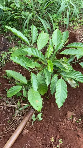 4 tháng #xuhuongtiktok 