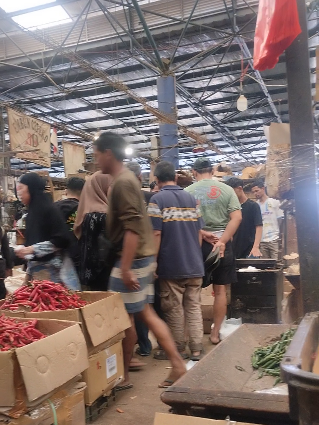 info harga cabe hari ini#fyp #pasarindukkramatjati #fypシ #cabe #sayuran 